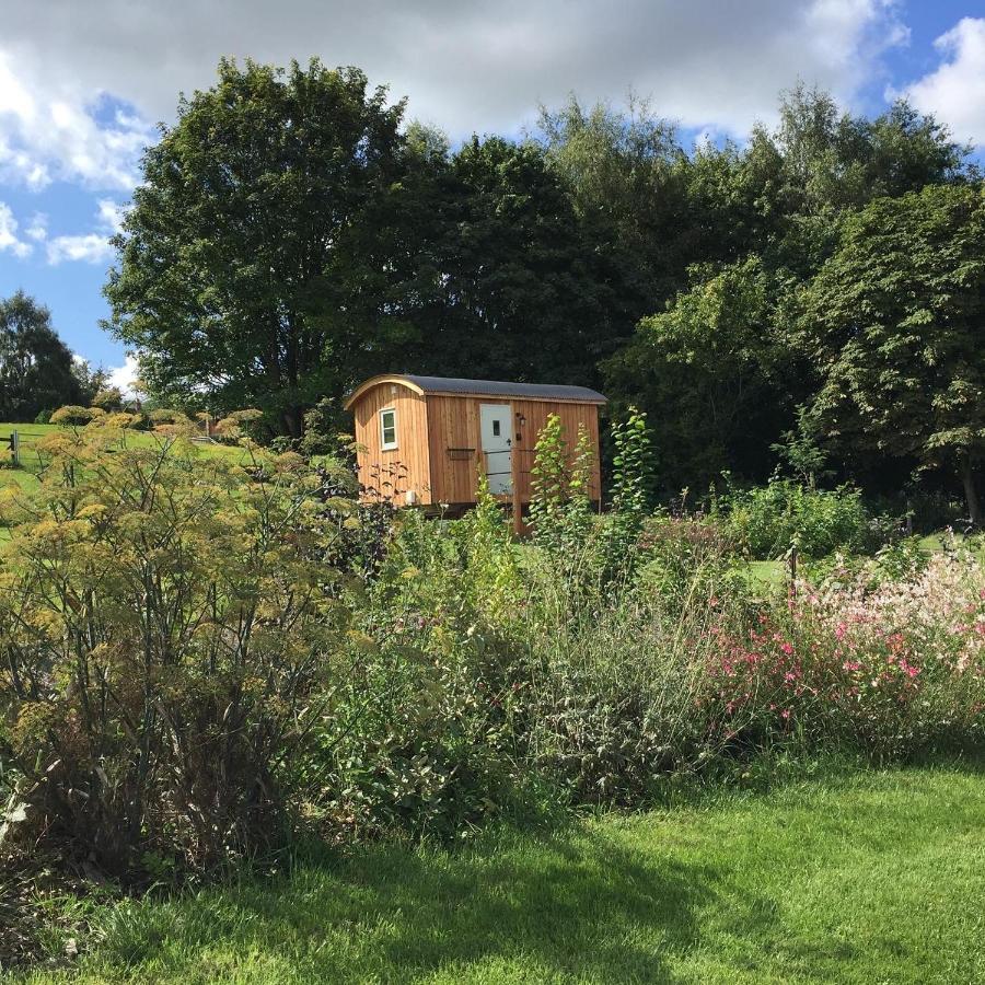 Вілла Slades Farm Glamping Вестбері Екстер'єр фото